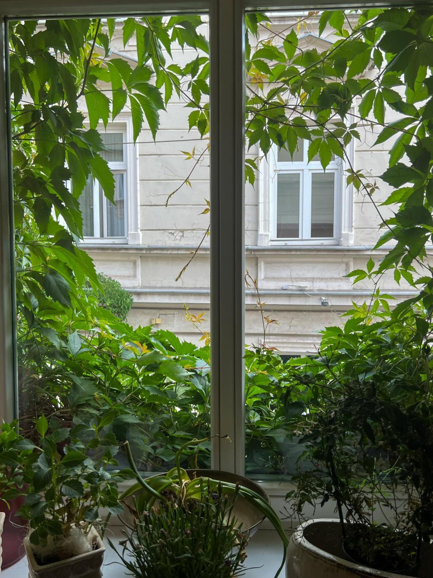 Aparthotel Karmel Kraków Exteriör bild